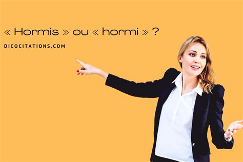 hormi ou hormis|« Hormi » ou « Hormis », que faut il écrire